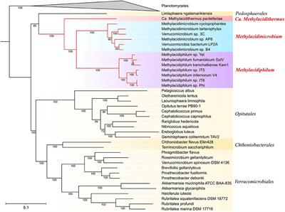 Genome-guided prediction of acid resistance mechanisms in acidophilic methanotrophs of phylogenetically deep-rooted Verrucomicrobia isolated from geothermal environments